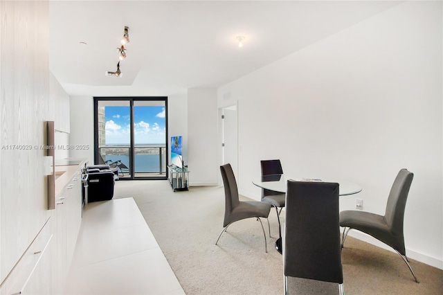 dining room featuring light colored carpet, track lighting, and a wall of windows