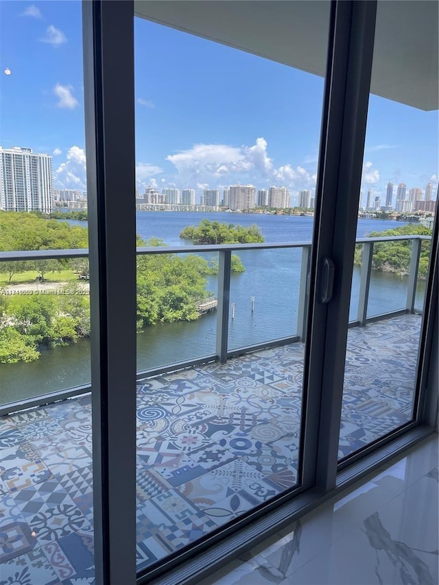 entryway with a water view and a healthy amount of sunlight