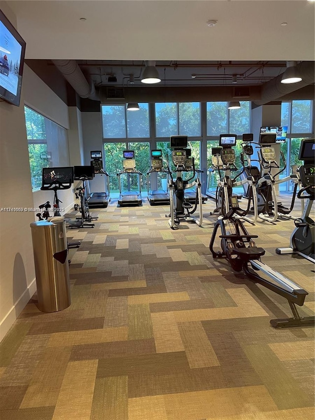 exercise room featuring light carpet