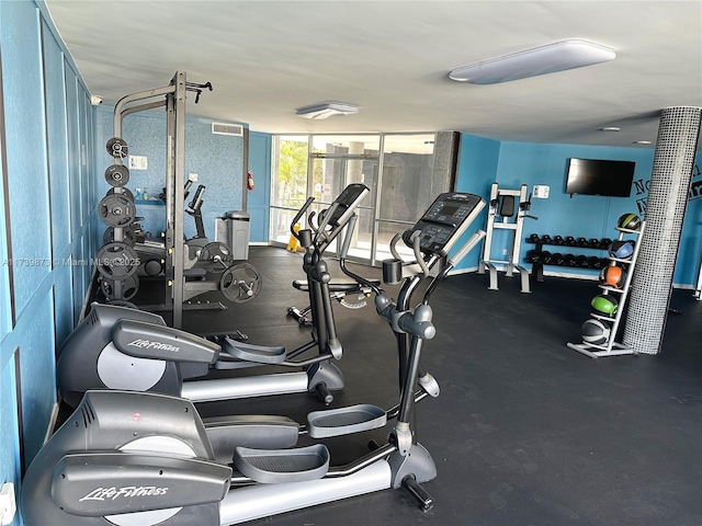 exercise room featuring a wall of windows