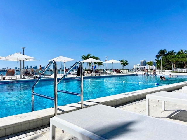 view of swimming pool