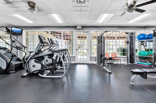 workout area with a drop ceiling and ceiling fan