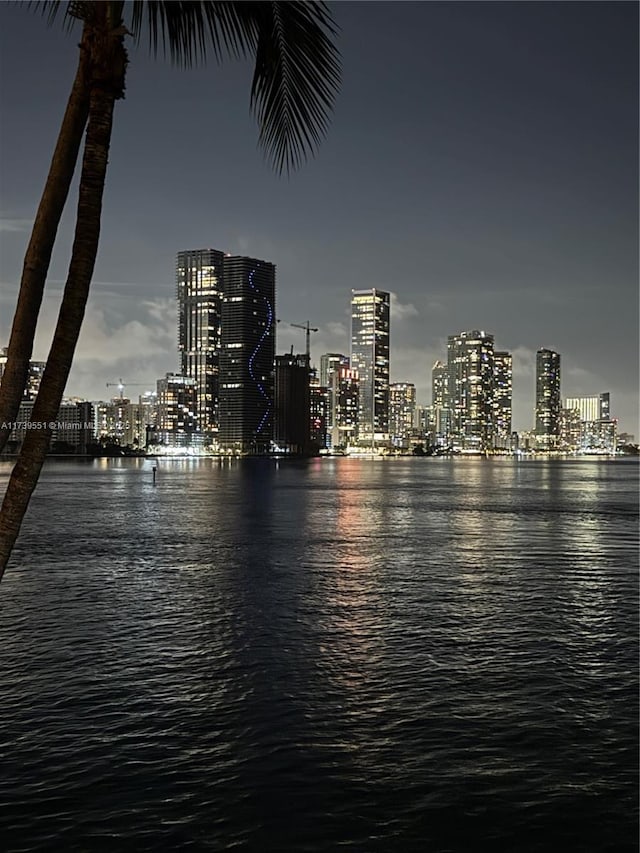 801 N Venetian Dr Unit 201, Miami, FL 33139 - water view featuring a view of city lights