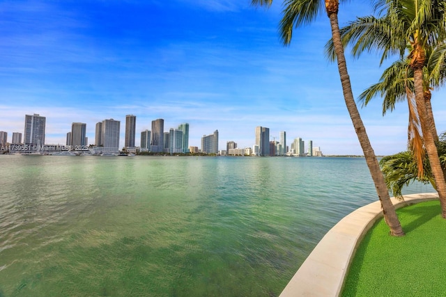 view of water feature featuring a city view