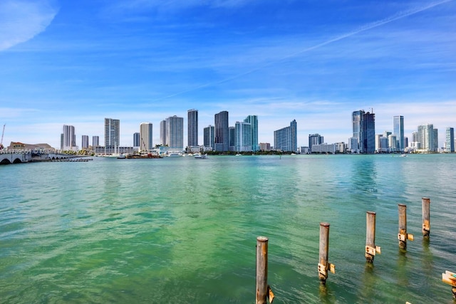 property view of water featuring a city view