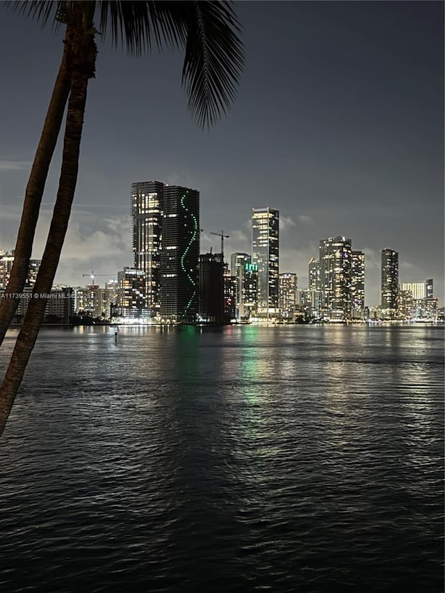 water view with a view of city lights