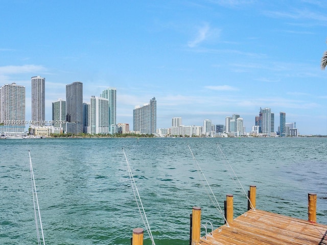 801 N Venetian Dr Unit 201, Miami, FL 33139 - water view featuring a dock and city skyline