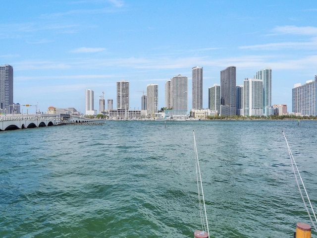 801 N Venetian Dr Unit 201, Miami, FL 33139 - water view with skyline