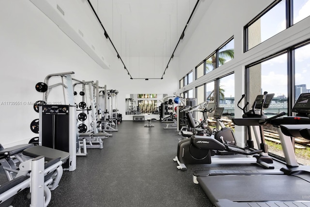 801 N Venetian Dr Unit 201, Miami, FL 33139 - exercise room featuring a high ceiling