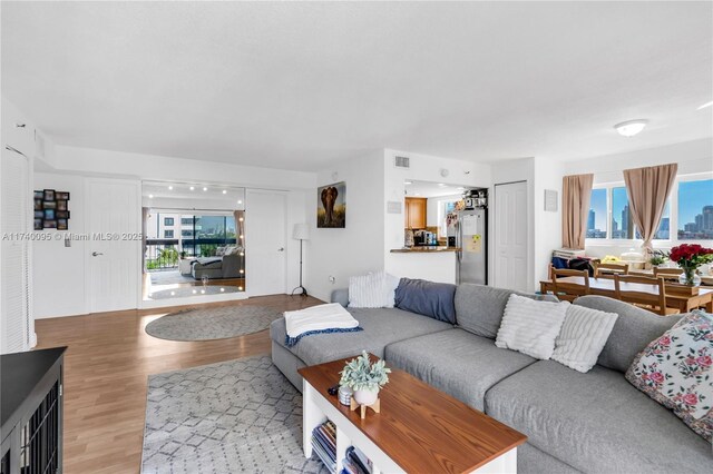 living room with a healthy amount of sunlight and light hardwood / wood-style flooring