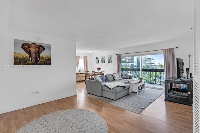 living room featuring light hardwood / wood-style flooring and a textured ceiling