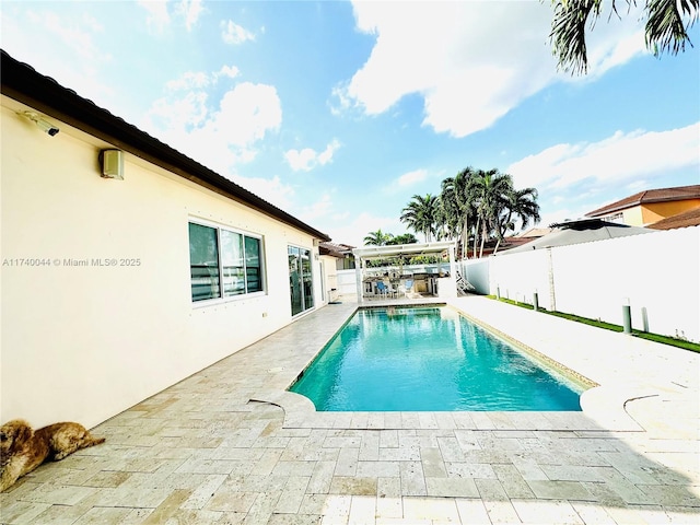 view of swimming pool with a patio