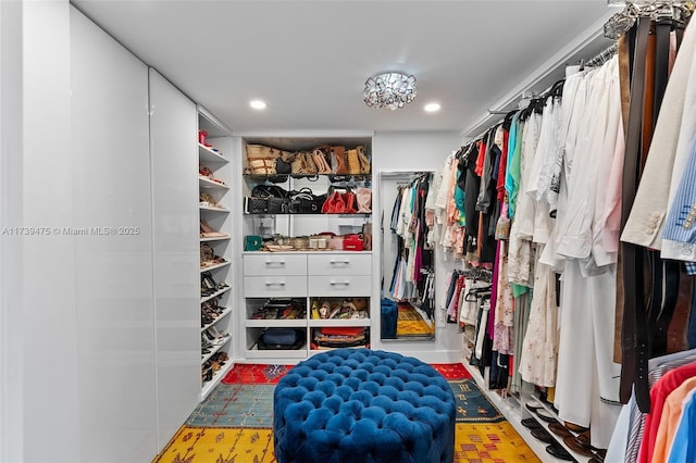 view of spacious closet