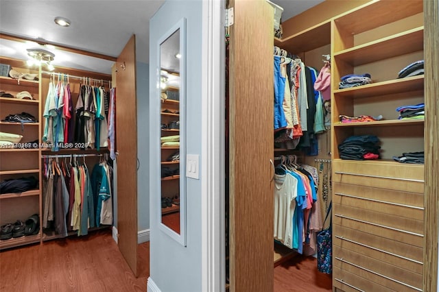 walk in closet with dark hardwood / wood-style flooring