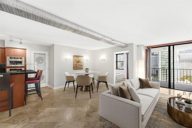 living room with expansive windows