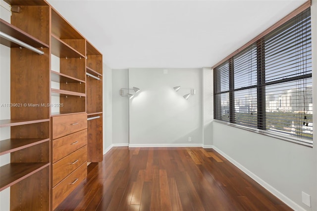 walk in closet featuring dark hardwood / wood-style floors