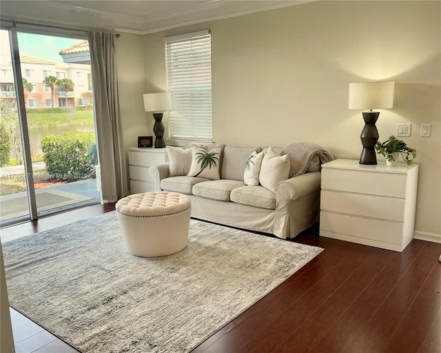 living room featuring dark hardwood / wood-style flooring and ornamental molding