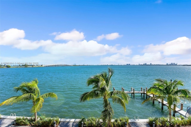 water view with a boat dock