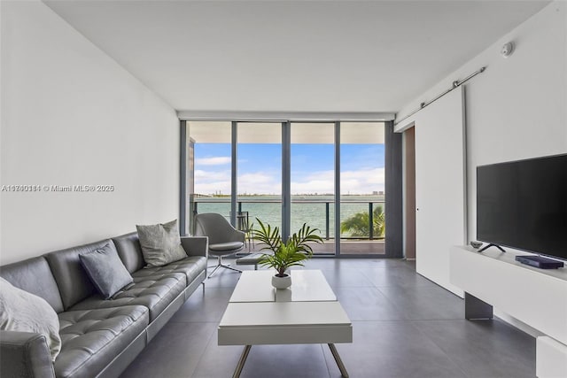 living room featuring expansive windows