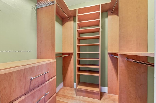 spacious closet with light wood-type flooring