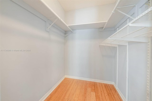 walk in closet featuring wood-type flooring