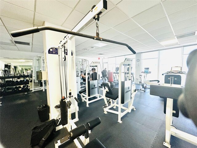 gym with expansive windows and a drop ceiling