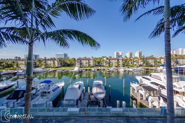 dock area featuring a water view