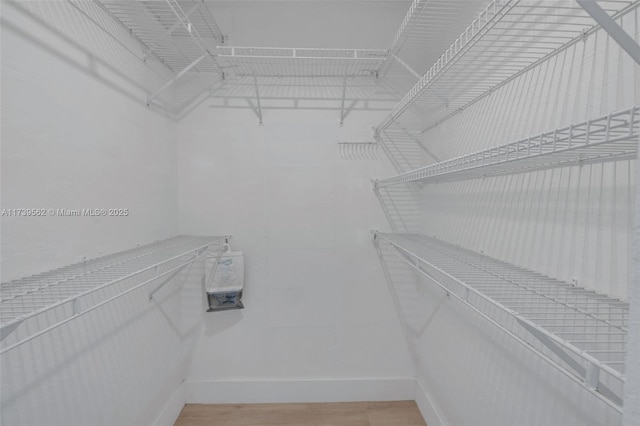 walk in closet with wood-type flooring