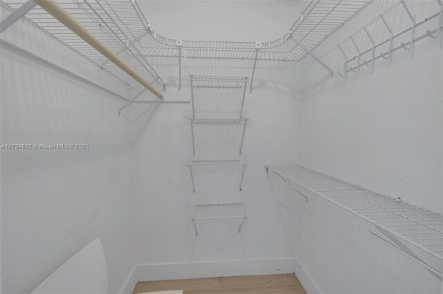 spacious closet featuring wood-type flooring