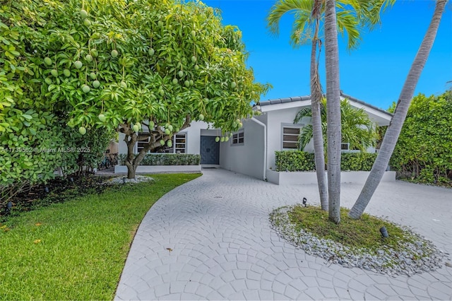 view of property hidden behind natural elements with a front lawn