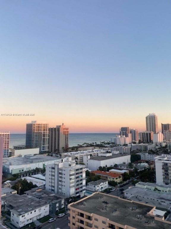 view of city with a water view