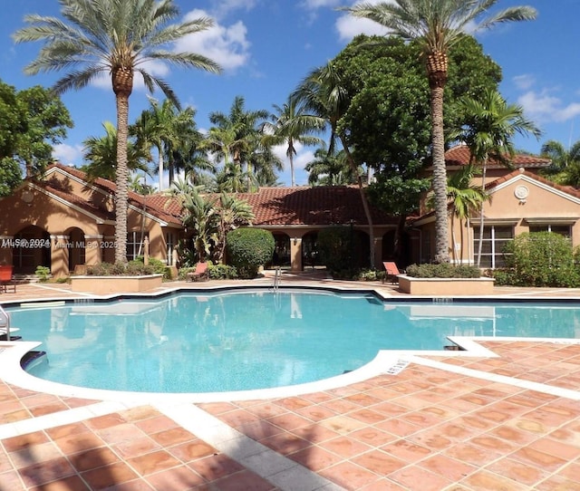 view of pool featuring a patio area