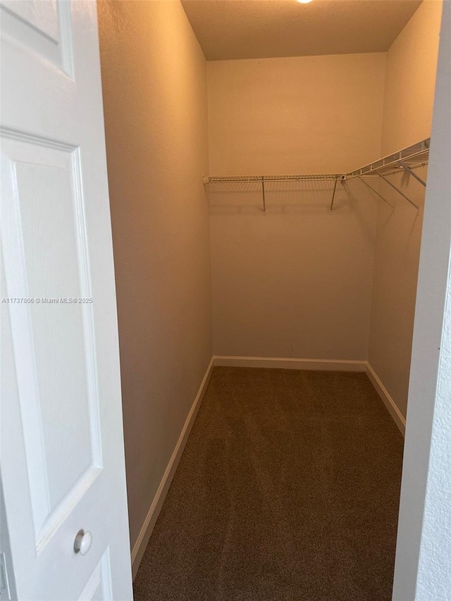 spacious closet with carpet flooring