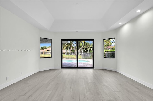 unfurnished room featuring a wealth of natural light, a raised ceiling, and light wood-type flooring