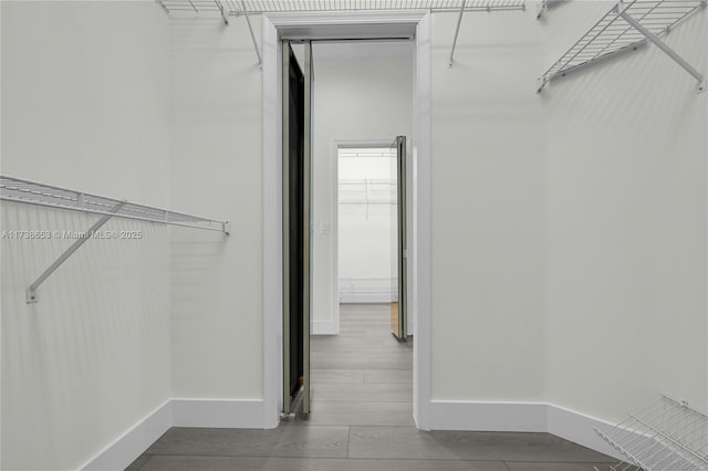 spacious closet featuring hardwood / wood-style flooring