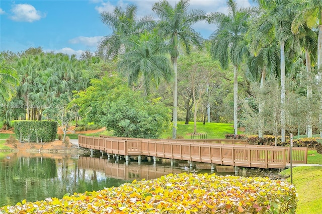 view of community with a water view