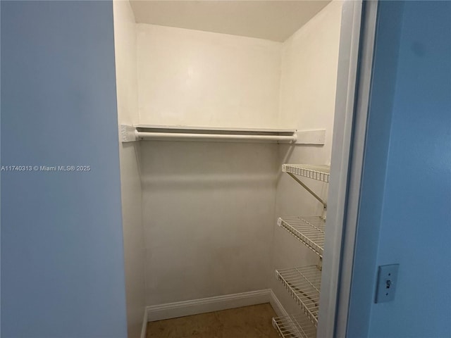 8317 SW 137th Ave Unit 8317, Miami, FL 33183 - view of walk in closet
