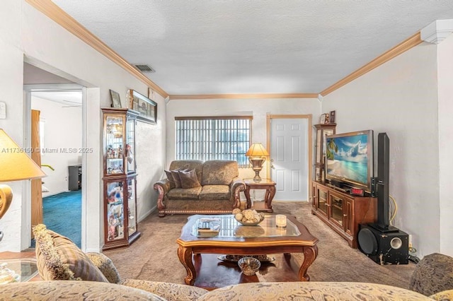 carpeted living room featuring ornamental molding and a textured ceiling