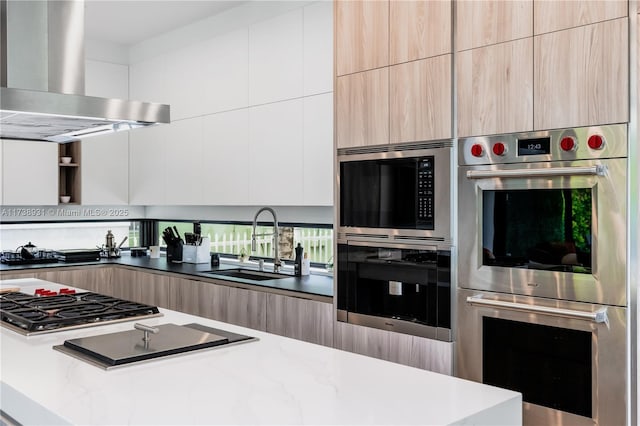 kitchen with modern cabinets, appliances with stainless steel finishes, island range hood, and a sink