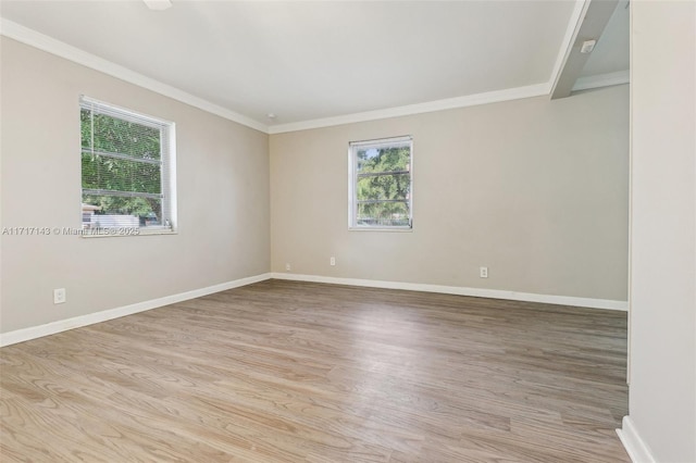 empty room with crown molding, plenty of natural light, and light hardwood / wood-style flooring