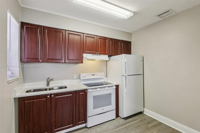 kitchen with sink, white appliances, and light hardwood / wood-style floors