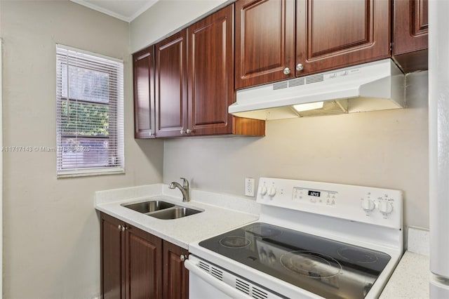 kitchen with sink and white electric stove