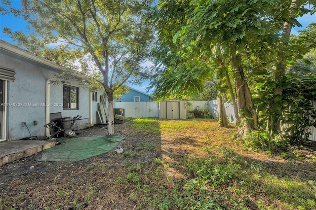 view of yard featuring a shed