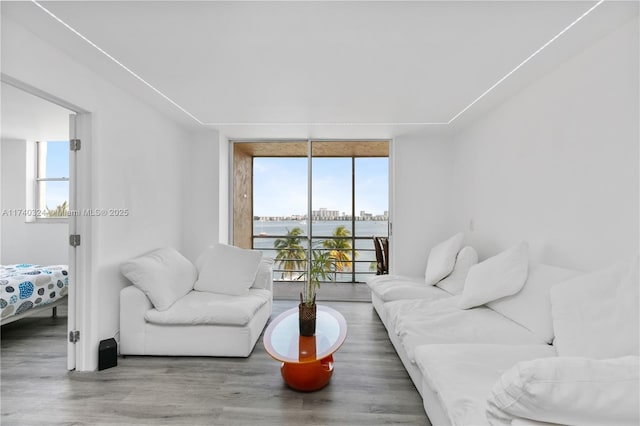 living room with hardwood / wood-style flooring, floor to ceiling windows, and plenty of natural light