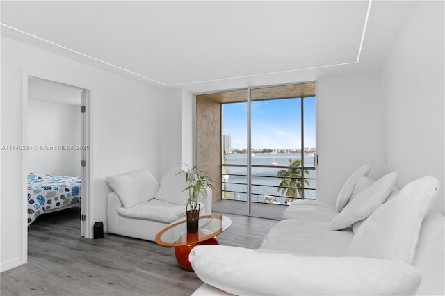 living room with a water view, a wall of windows, and wood-type flooring