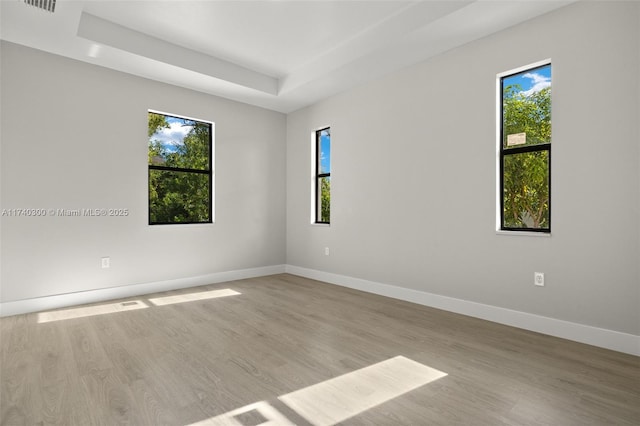 spare room featuring a raised ceiling and light wood-type flooring