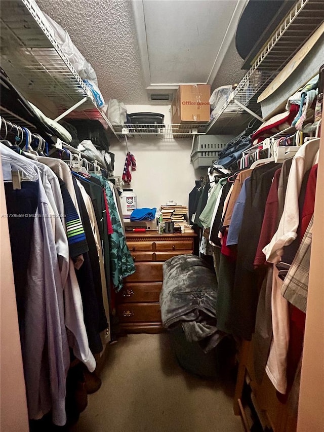 view of walk in closet