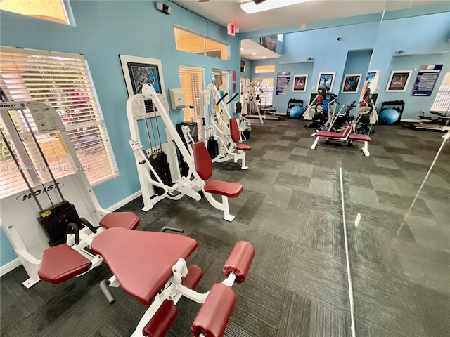 exercise room featuring a high ceiling and carpet flooring