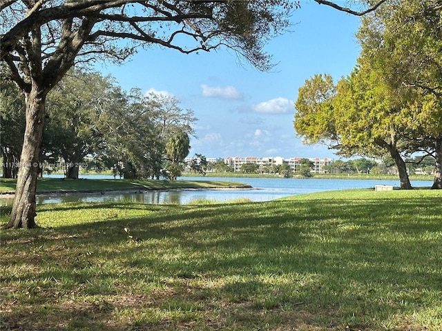 view of community with a water view and a lawn