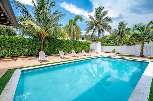 view of pool with a patio and a storage shed